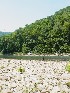 Ted at the Cheat River