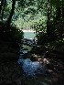 Peeking out at The Cheat River