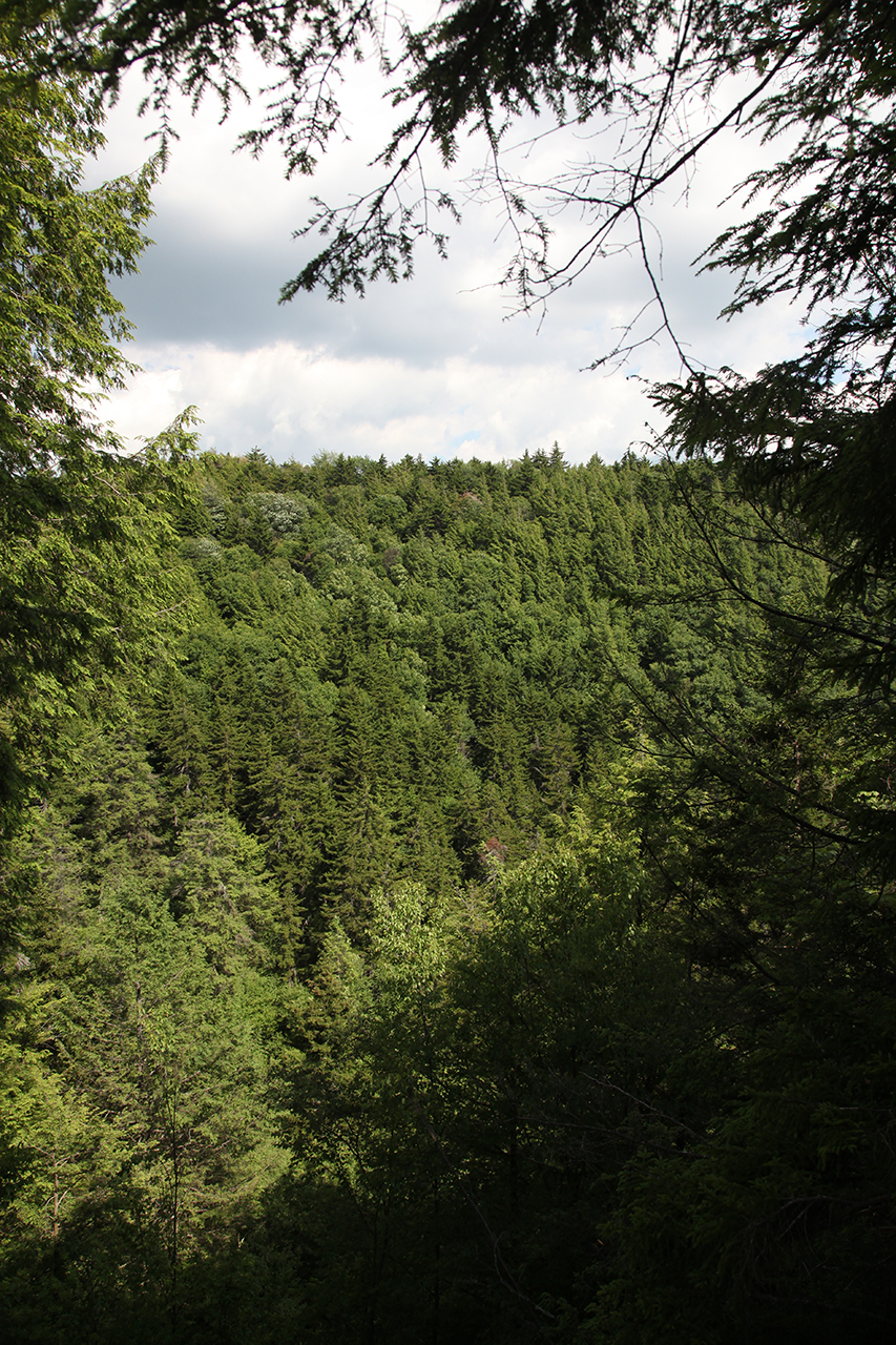River Gorge at Blackwater River