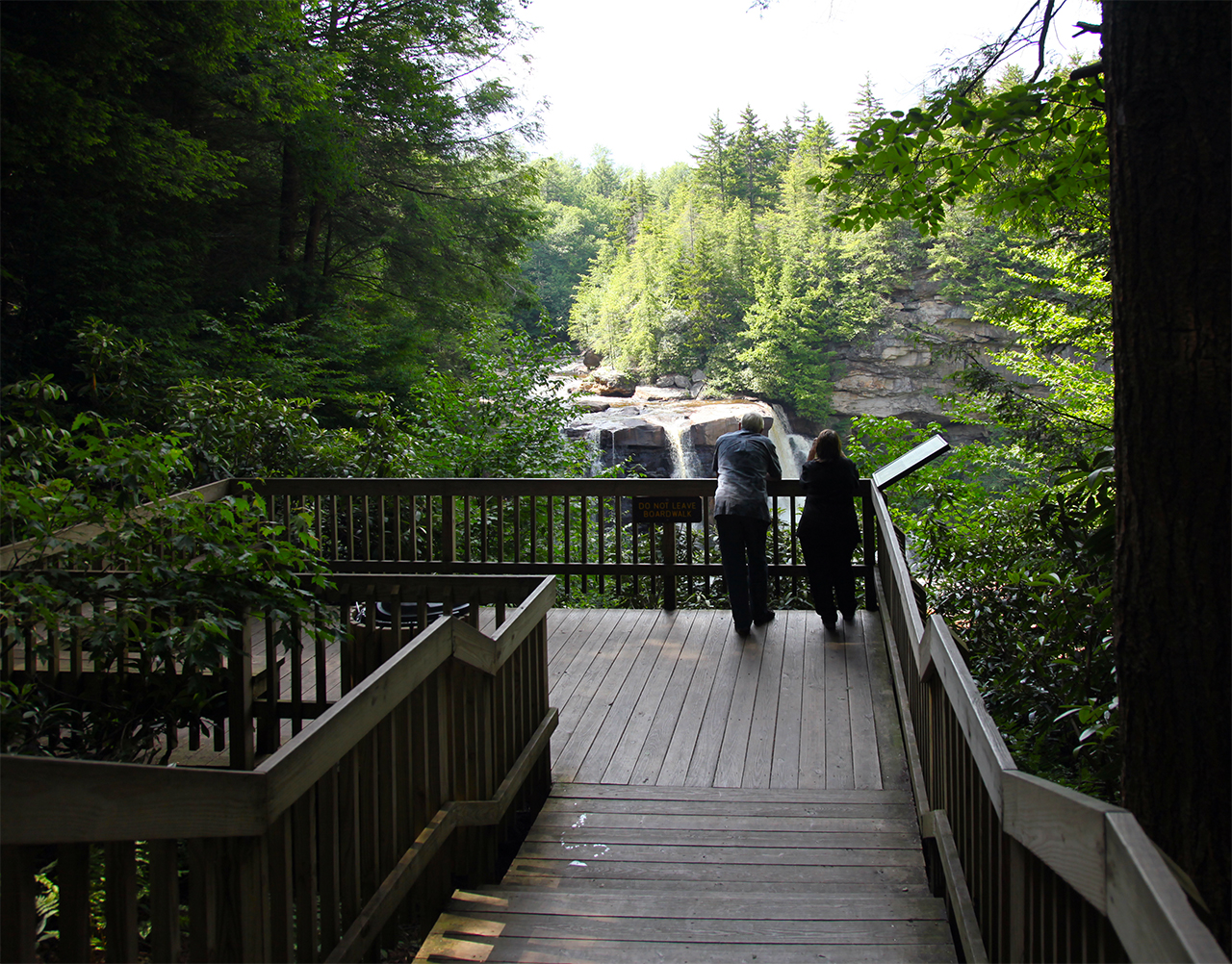 Blackwater Falls Observation Area
