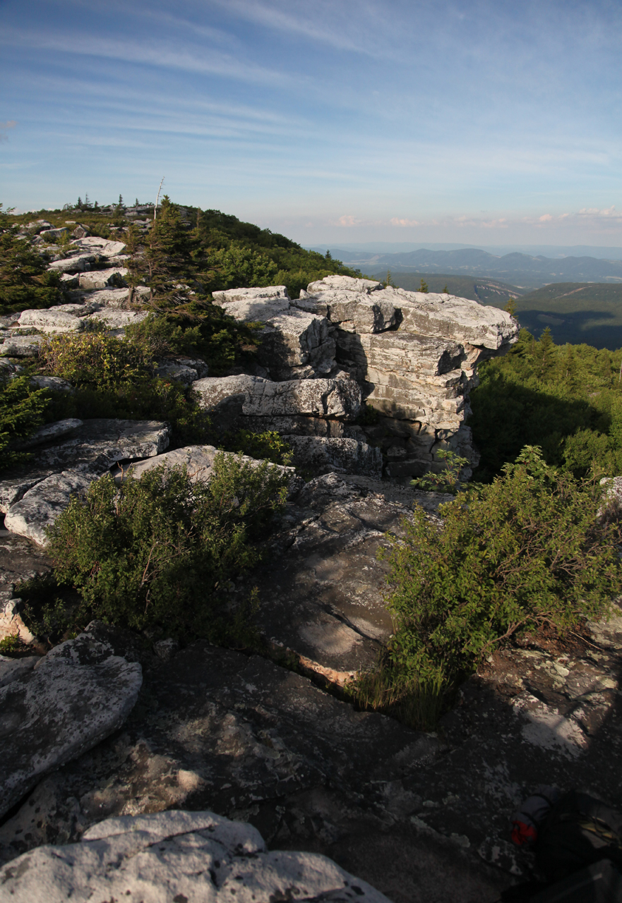 Dolly Sods