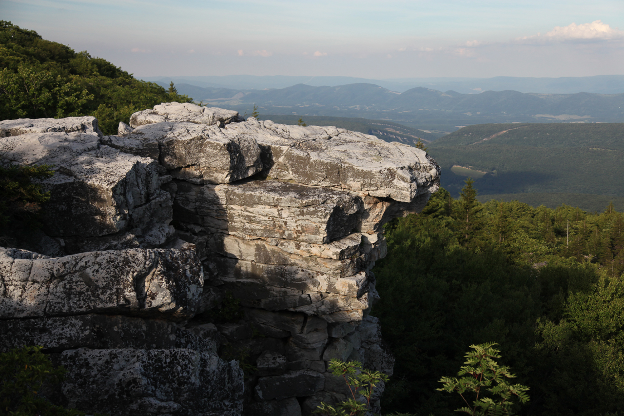 Dolly Sods