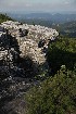 Dolly Sods