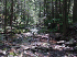 Stream