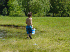Butterfly Hunter