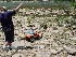 Jon Paul Rock Crawling