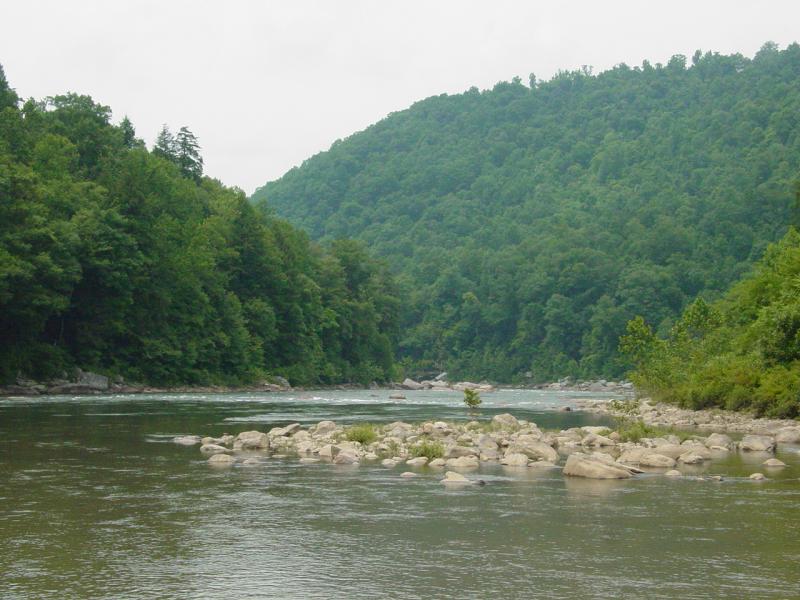 Cheat River at Jenkinsburg Bridge