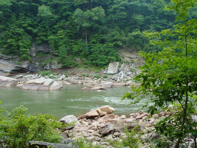 Cheat River near Cache