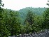 Along Mt. Nebo-Bull Run Rd