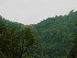 Along Mt. Nebo-Bull Run Rd