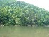 Cheat River at Jenkinsburg Bridge