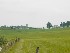 Farm near Hudson, WV