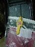 Yellow Key 103.1