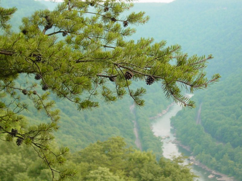 View from New River Gorge Observation Deck