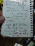 Island in the Sky - Signed Log