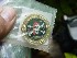 Island in the Sky - Logged Personal Geocoin