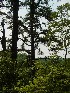 Island in the Sky - View