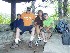 Island in the Sky - Tom, Paul, Maria and Ted at Pavilion