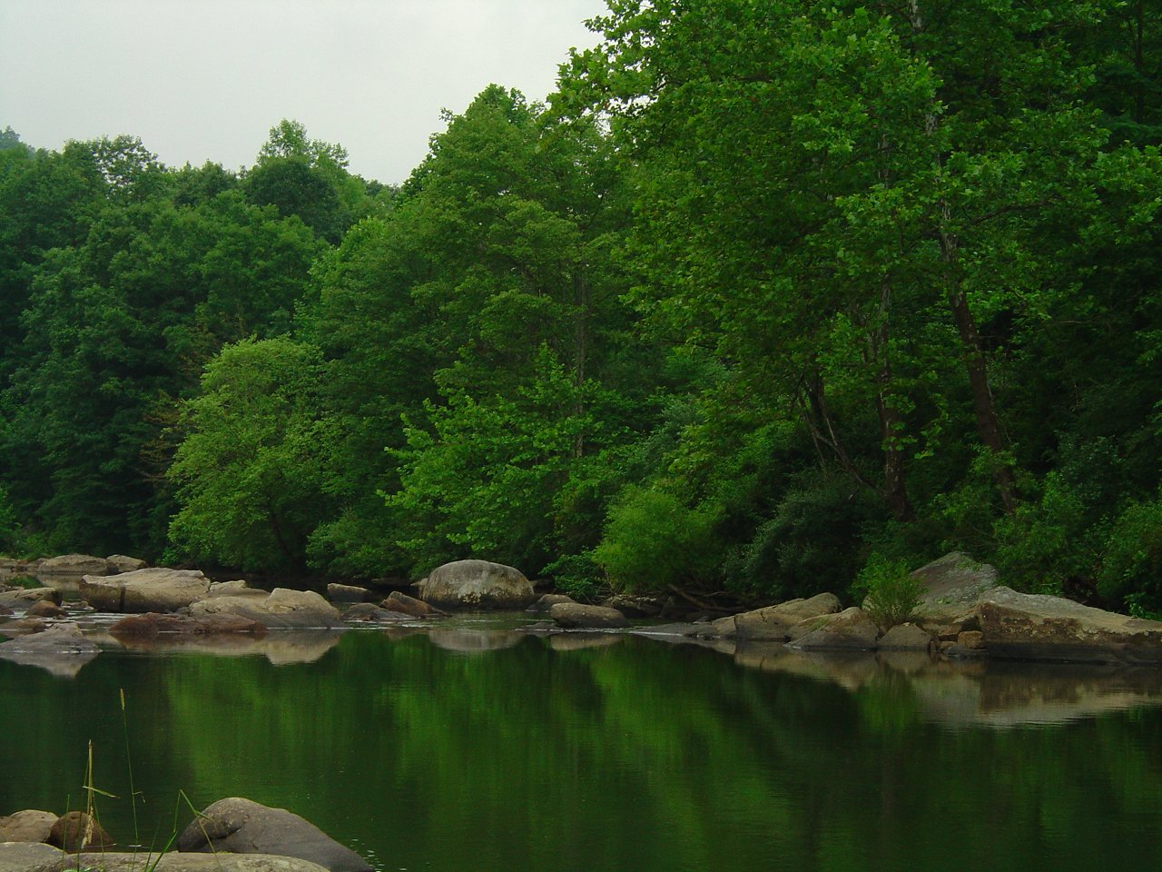 Cherry River