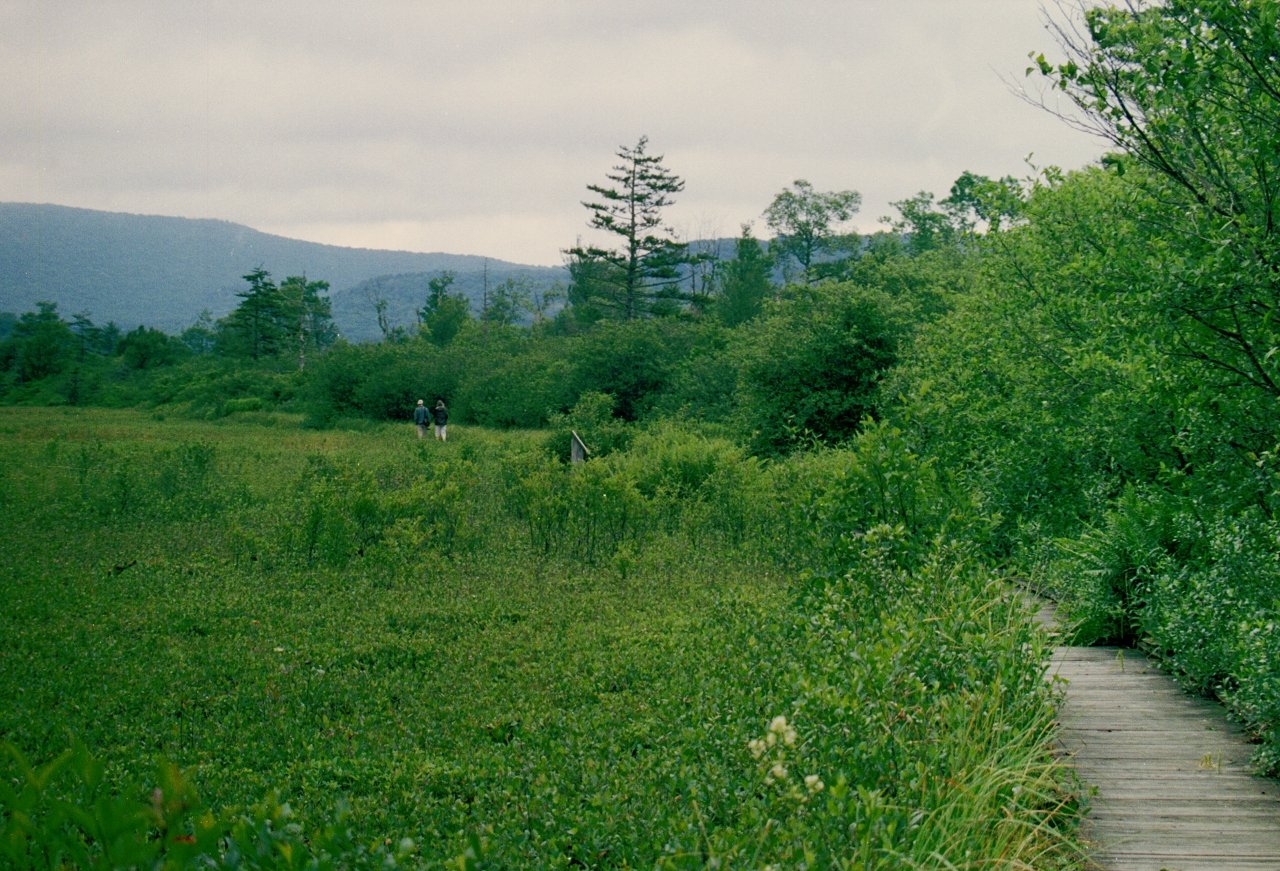 The Glades
