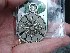 Time Geocoin