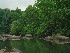 Cherry River