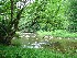 West Fork of the Greenbrier River