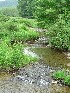 Little River at Burner, PR44 and PR17