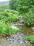 Little River at Burner, PR44 and PR17