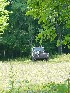 Semi Tractor Collection Chestnutburg WV