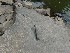 Anchor on shore of New River