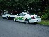 Fayetteville Cruiser