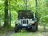 Carl's TJ