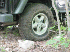 Dad's Tire