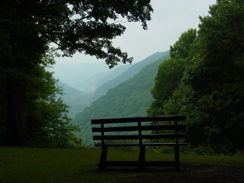 View along FR802 Babcock State Park