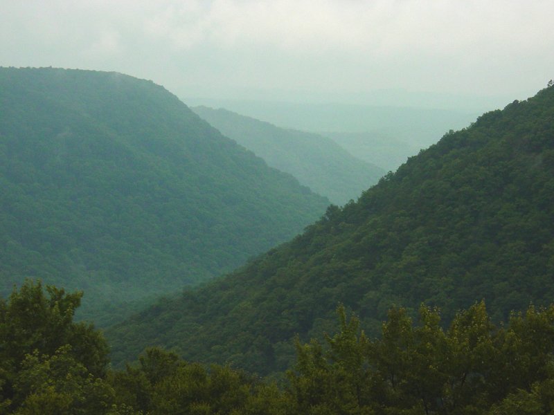 View Along FR802 Babcock State Park