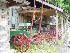 Carriages at Beckley Youth Museum of Southern West Virginia