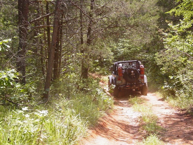 Carl on Trail