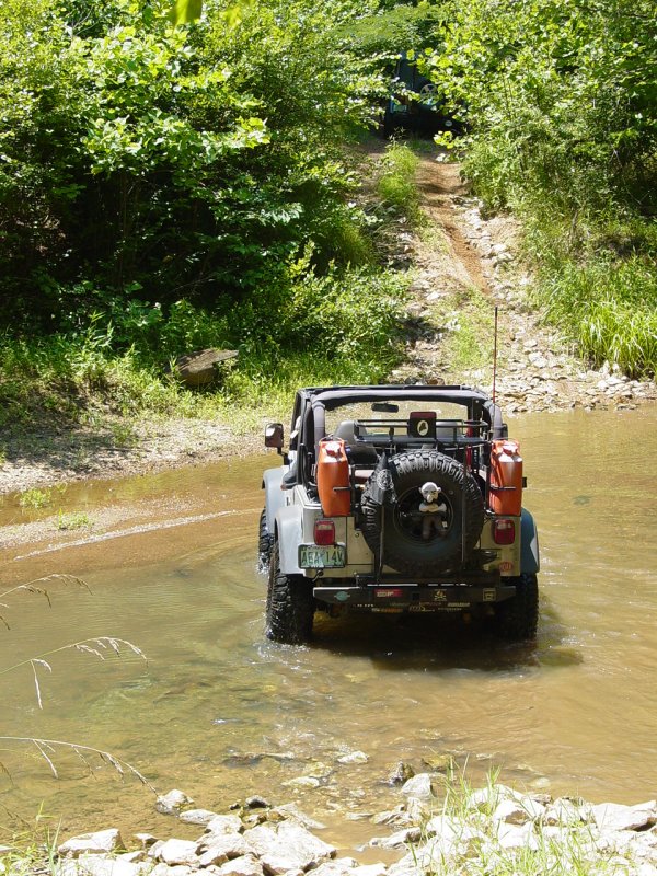 Carl Crossing Meadow Creek/Edward's Branch