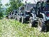 Pretty Maids all in a Row