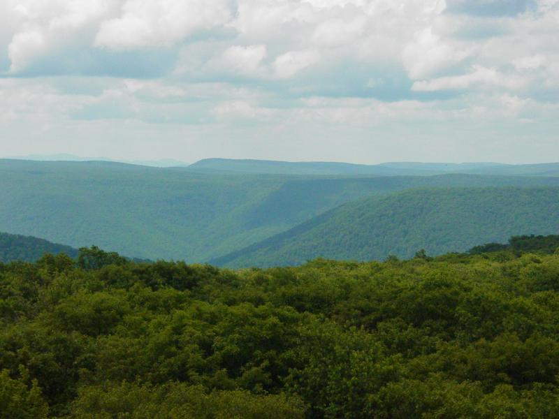 View from Olson Tower - Click to Enlarge