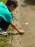 Tomi and Tadpoles