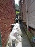Alley in Thomas