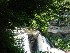Blackwater Falls
