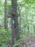 Trail Junction