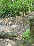 Tank Trap