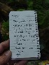 Our Log Entry