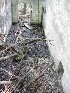 Scattered Remains Ruins
