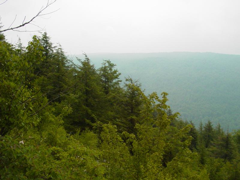 Canyon Rim View