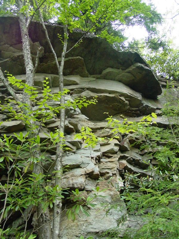 Pinnacle - Click to Enlarge
